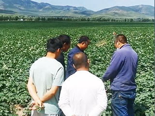 赤峰經(jīng)銷商觀摩