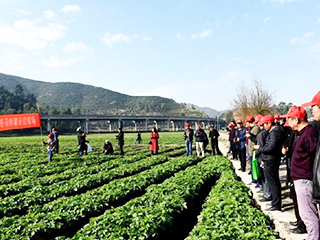 經(jīng)銷商觀摩